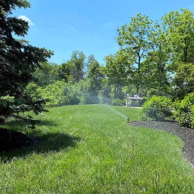 expansive lawn